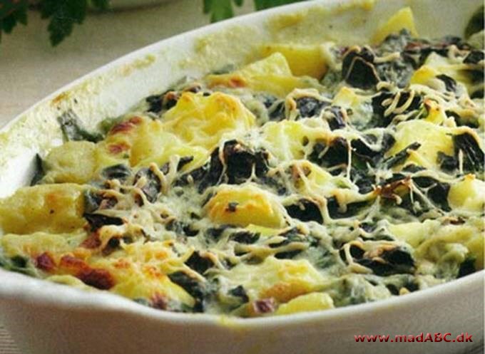 Kartoffel-spinatgratin